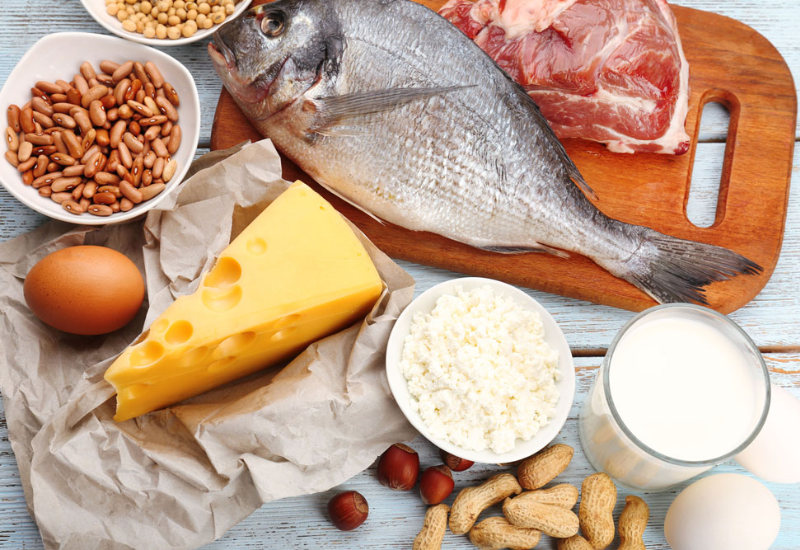 Protein có tác dụng gì?